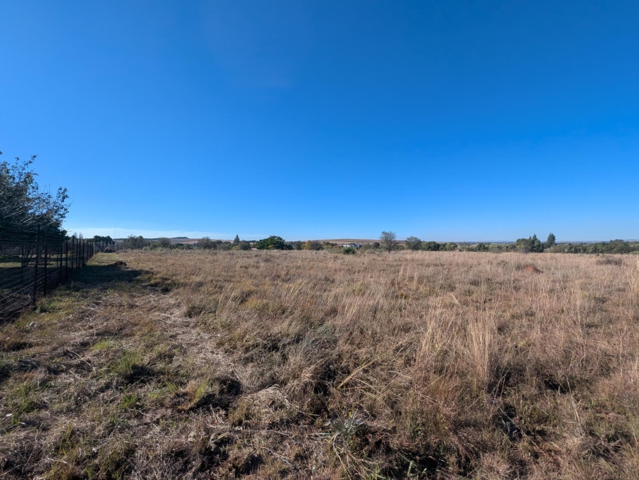 0 Bedroom Property for Sale in Blue Saddle Ranches Gauteng