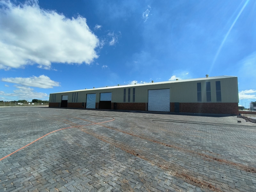 To Let Commercial Property for Rent in Sunderland Ridge Gauteng