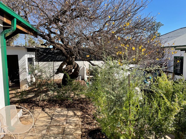 2 Bedroom Property for Sale in Auckland Park Gauteng