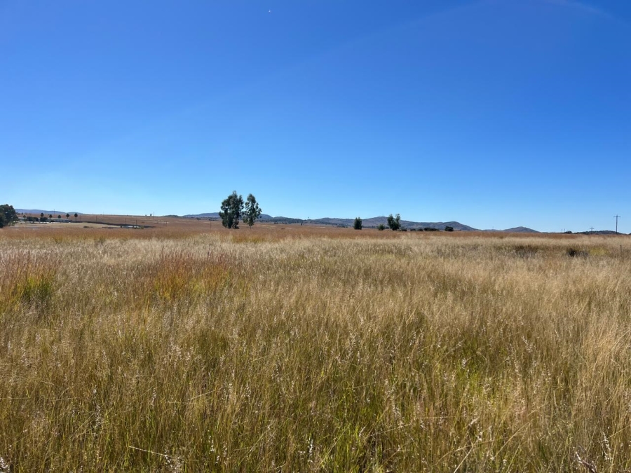 0 Bedroom Property for Sale in Koppiesfontein Gauteng