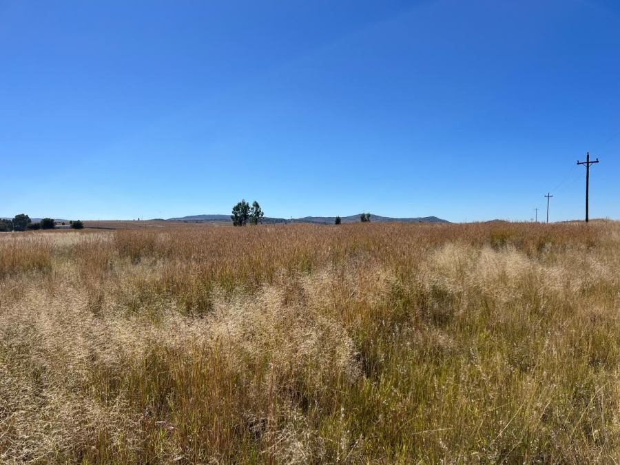 0 Bedroom Property for Sale in Koppiesfontein Gauteng