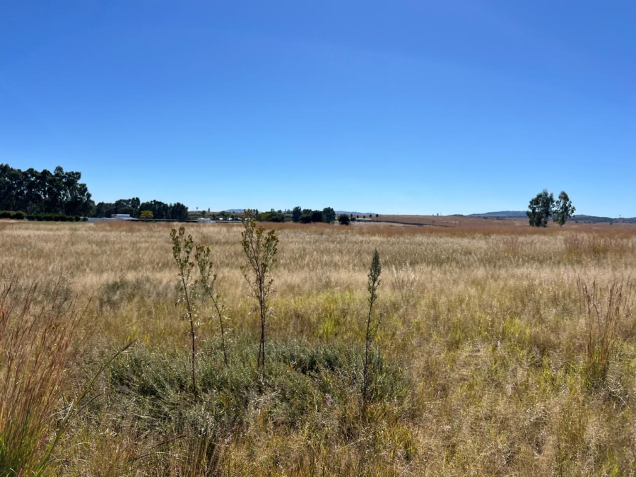 0 Bedroom Property for Sale in Koppiesfontein Gauteng