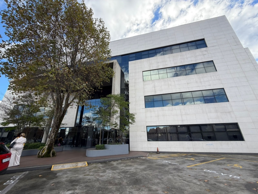 To Let Commercial Property for Rent in Parktown Gauteng