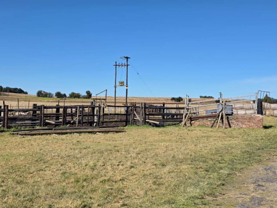 5 Bedroom Property for Sale in Devon Gauteng