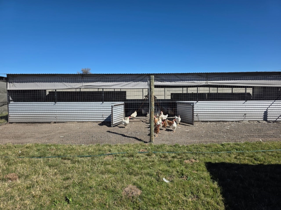 5 Bedroom Property for Sale in Devon Gauteng