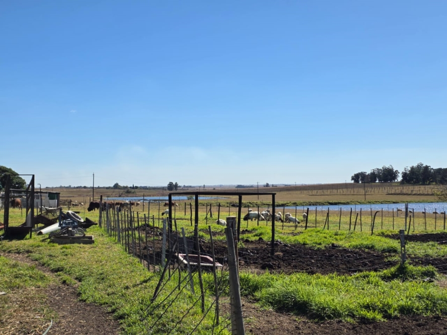5 Bedroom Property for Sale in Devon Gauteng