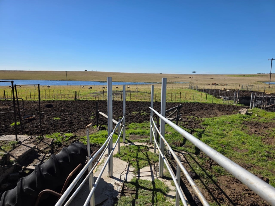 5 Bedroom Property for Sale in Devon Gauteng