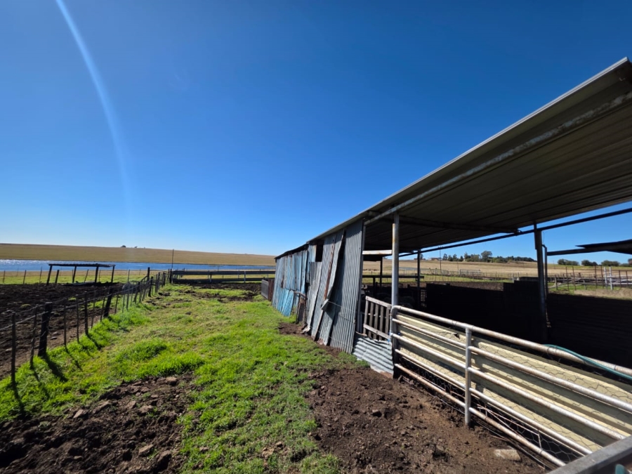 5 Bedroom Property for Sale in Devon Gauteng