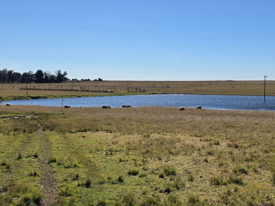 5 Bedroom Property for Sale in Devon Gauteng