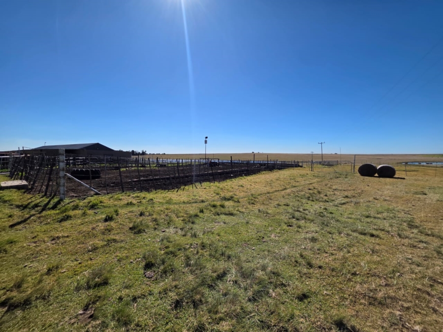 5 Bedroom Property for Sale in Devon Gauteng