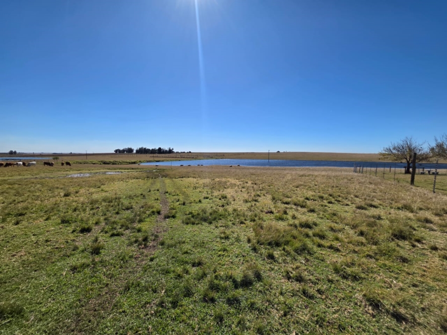5 Bedroom Property for Sale in Devon Gauteng