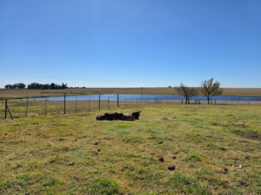 5 Bedroom Property for Sale in Devon Gauteng