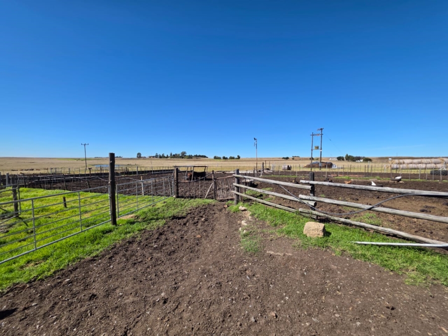 5 Bedroom Property for Sale in Devon Gauteng
