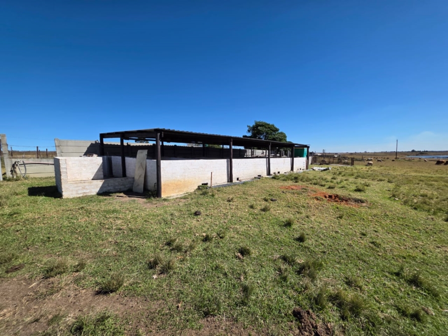 5 Bedroom Property for Sale in Devon Gauteng