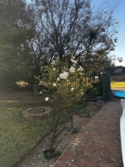 5 Bedroom Property for Sale in Elspark Gauteng