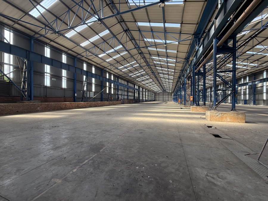 To Let Commercial Property for Rent in Airport Park Gauteng