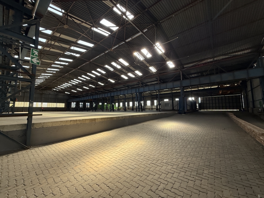 To Let Commercial Property for Rent in Airport Park Gauteng