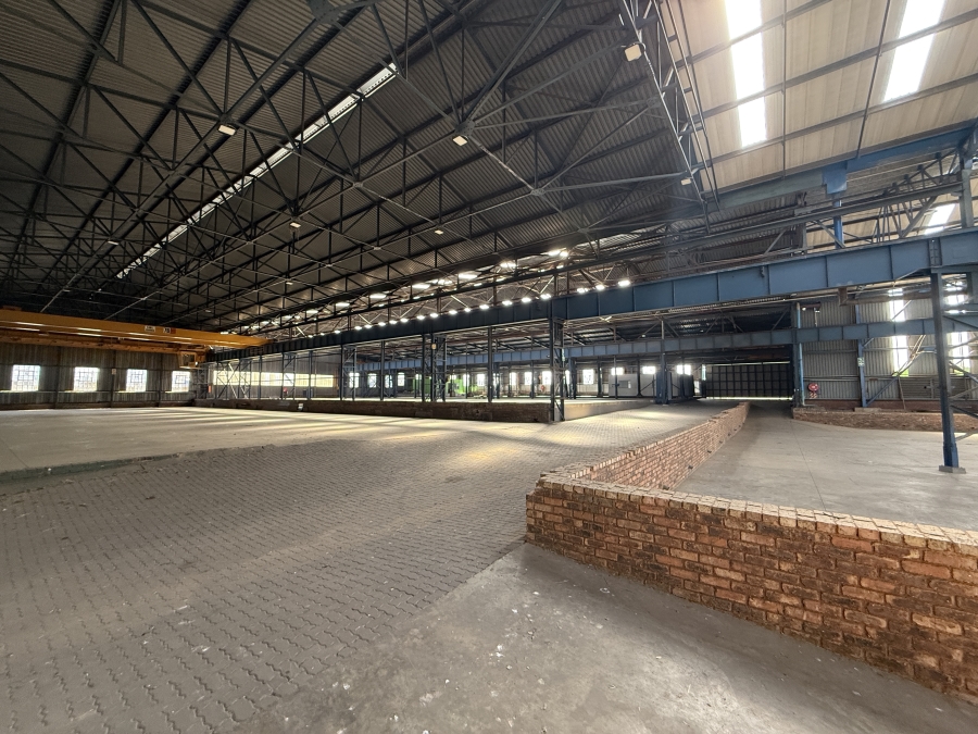 To Let Commercial Property for Rent in Airport Park Gauteng