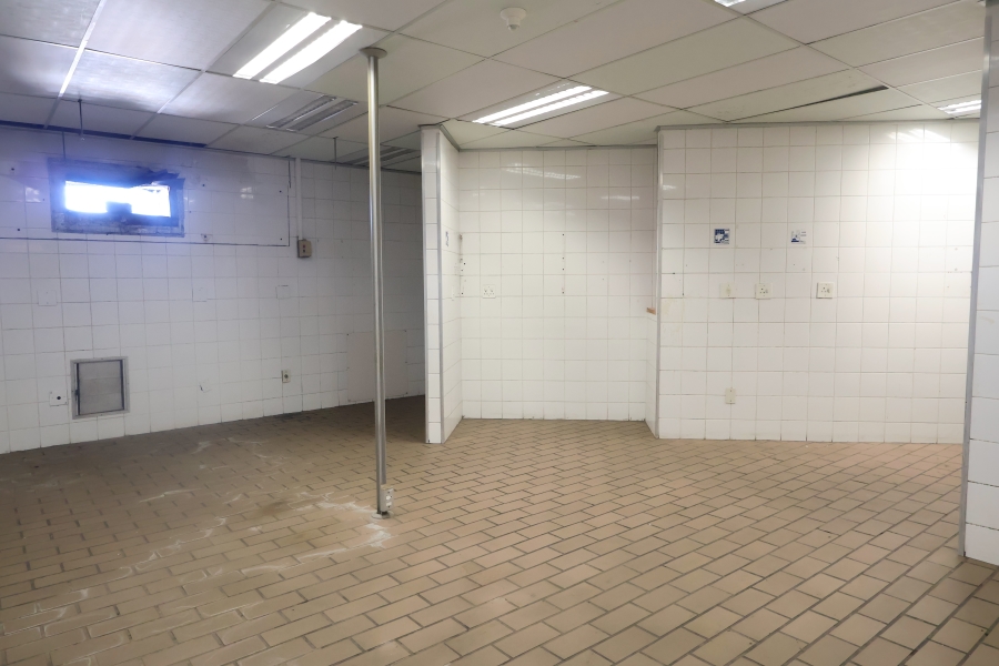 To Let Commercial Property for Rent in Sandown Gauteng