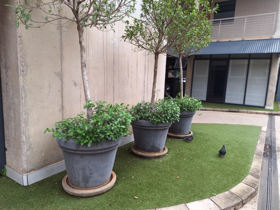 To Let 2 Bedroom Property for Rent in Brooklyn Gauteng