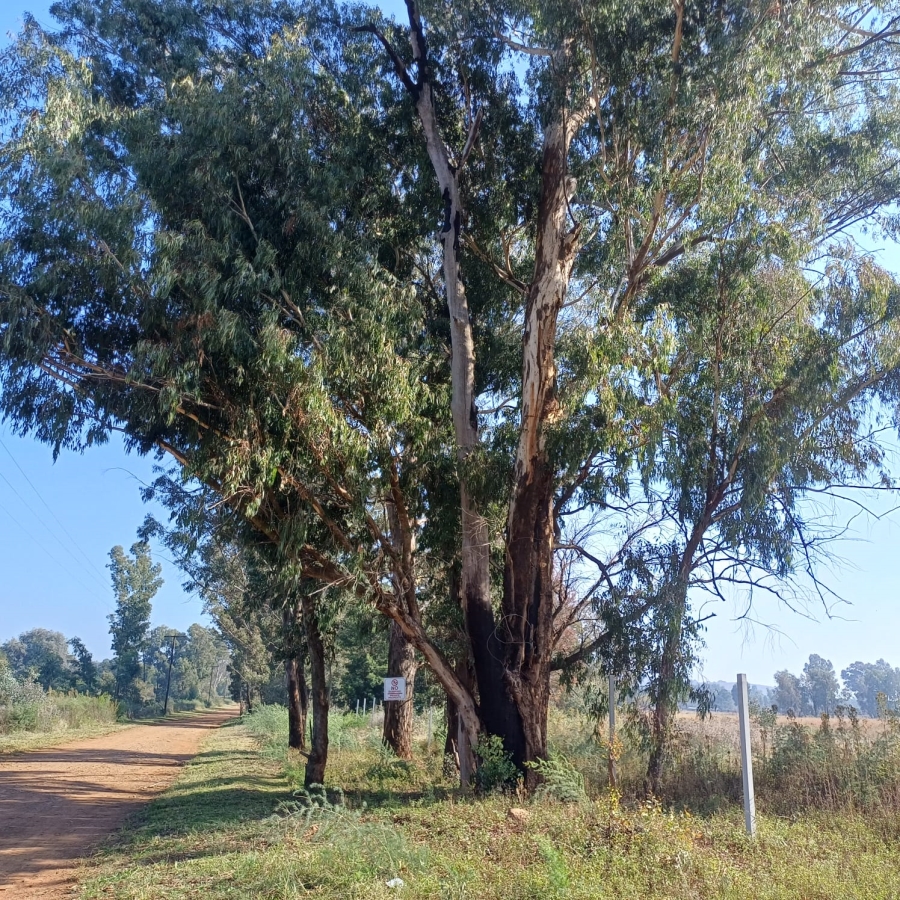 0 Bedroom Property for Sale in Valley Settlements A H Gauteng