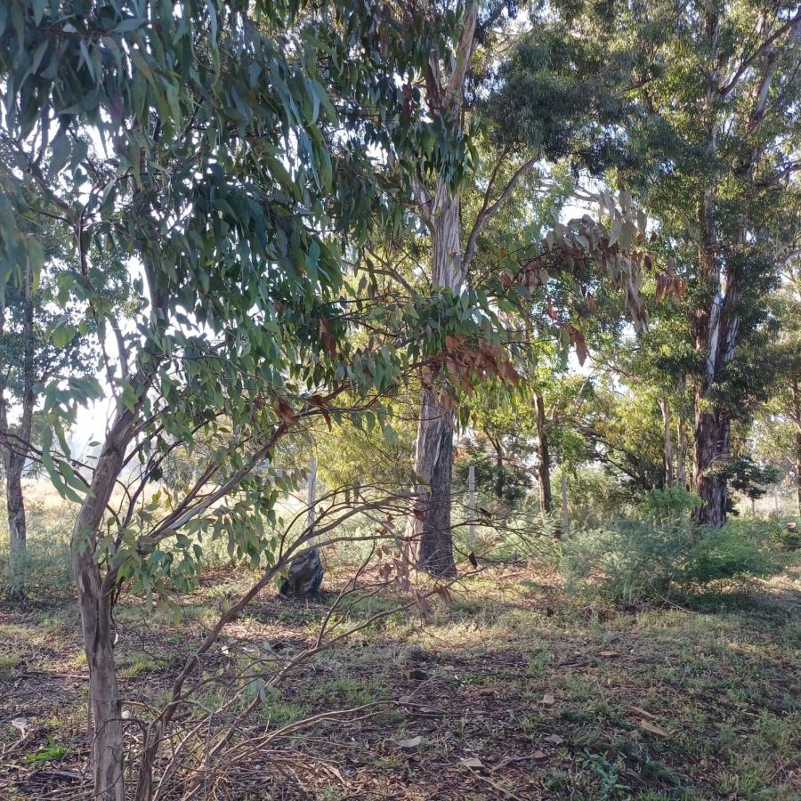0 Bedroom Property for Sale in Valley Settlements A H Gauteng