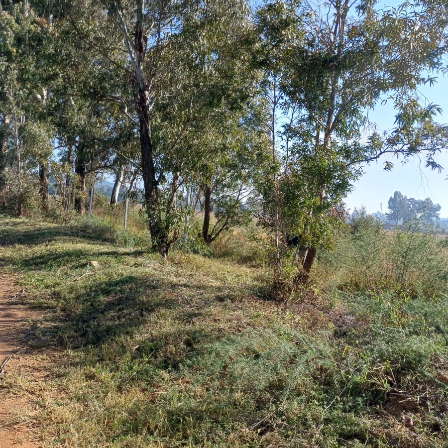 0 Bedroom Property for Sale in Valley Settlements A H Gauteng