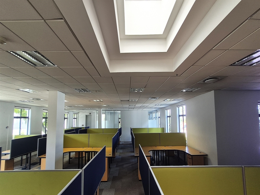 To Let Commercial Property for Rent in Illovo Gauteng