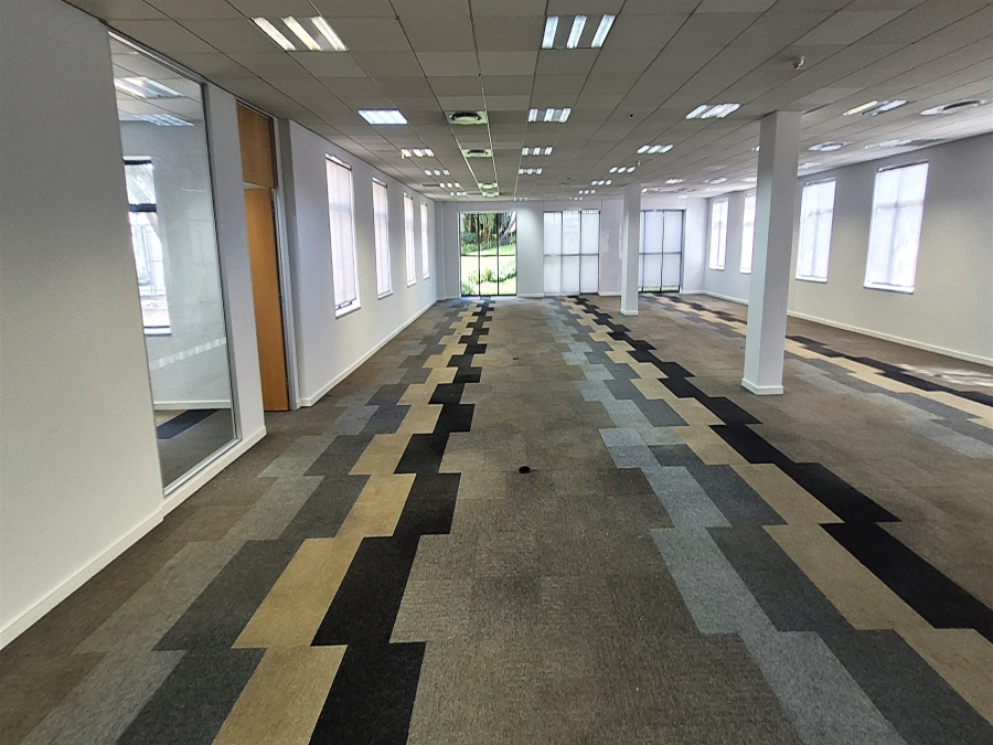 To Let Commercial Property for Rent in Illovo Gauteng