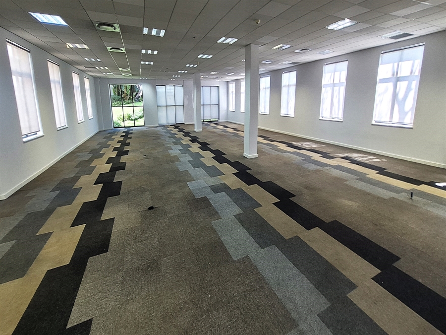 To Let Commercial Property for Rent in Illovo Gauteng