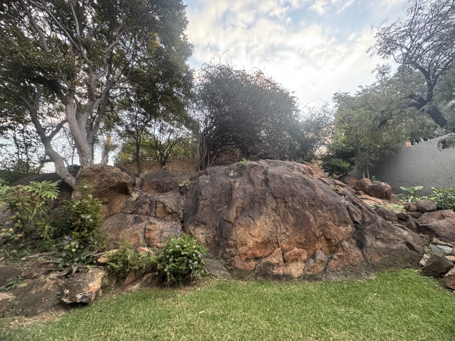 To Let 3 Bedroom Property for Rent in Albemarle Gauteng