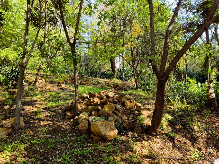 9 Bedroom Property for Sale in Rayton Gauteng