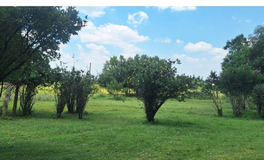 4 Bedroom Property for Sale in Houtkop A H Gauteng