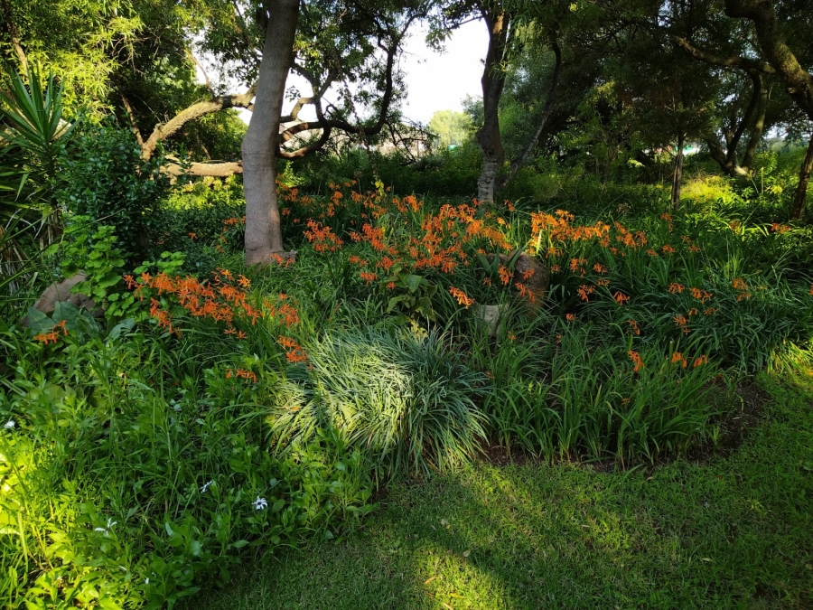 5 Bedroom Property for Sale in Mooilande Gauteng
