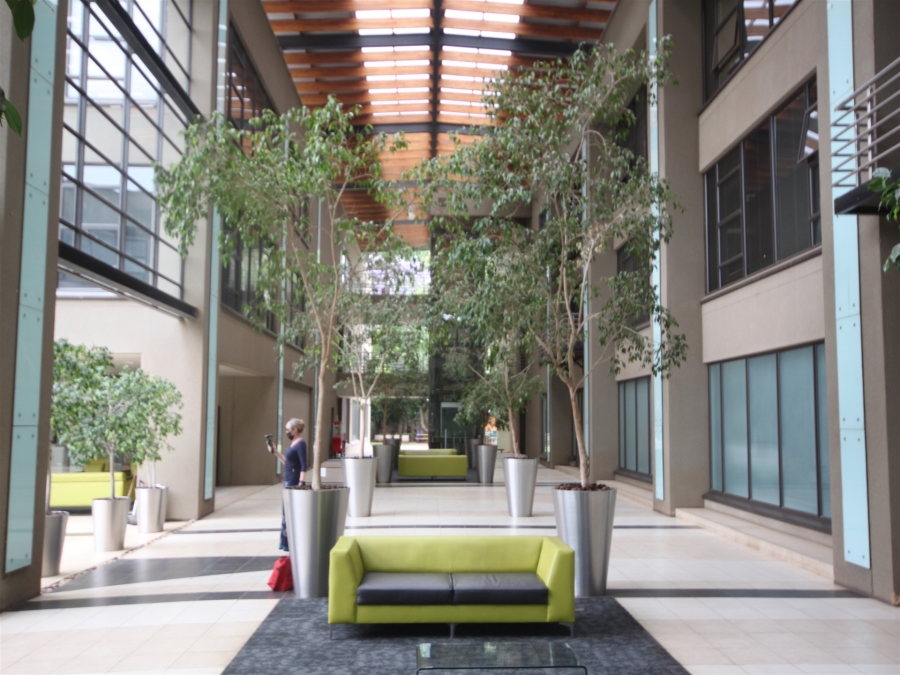 To Let Commercial Property for Rent in Illovo Gauteng