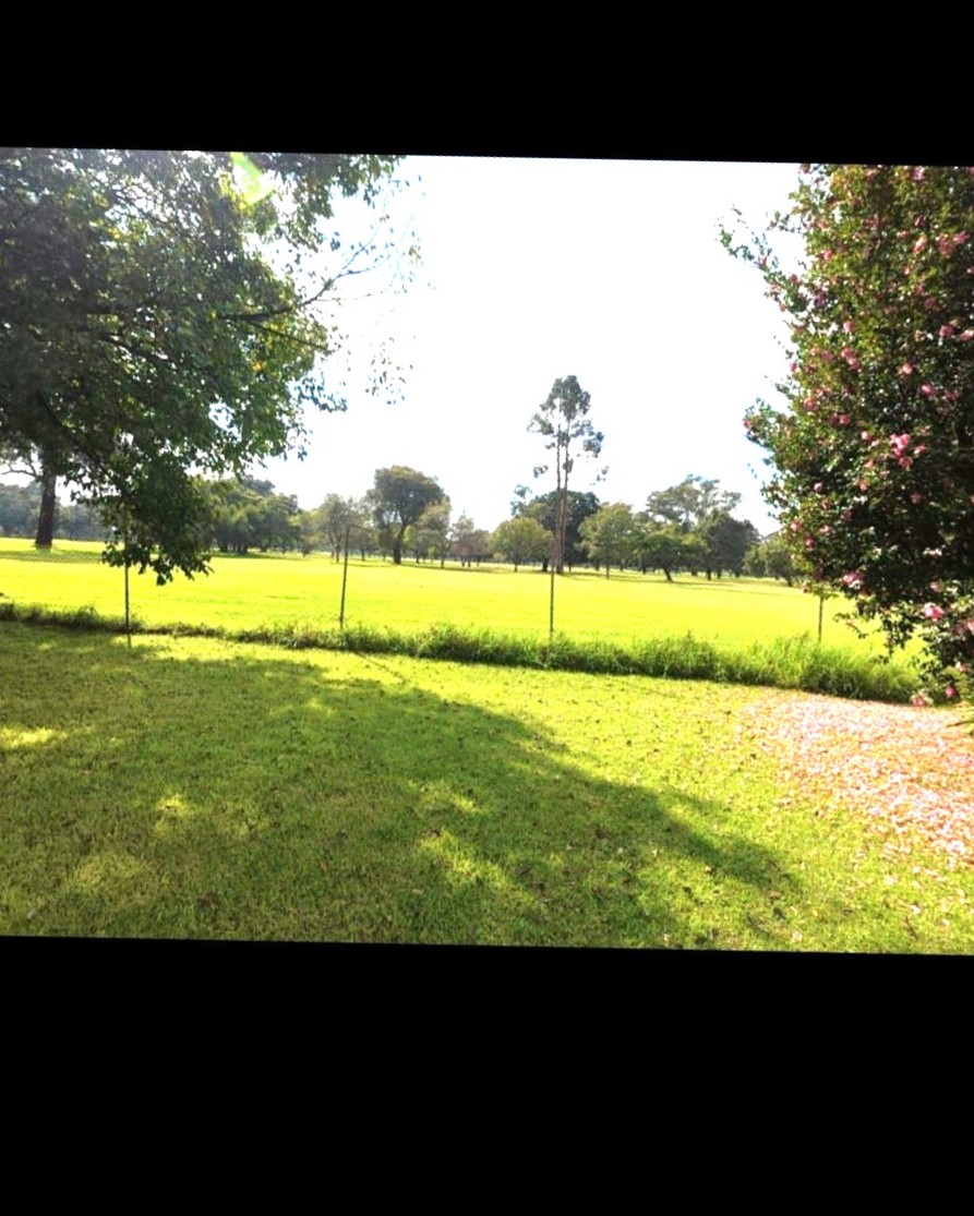 3 Bedroom Property for Sale in Pollak Park Gauteng
