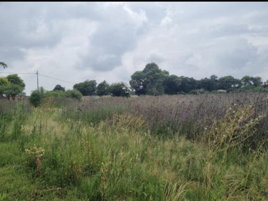 0 Bedroom Property for Sale in Rand Collieries Gauteng