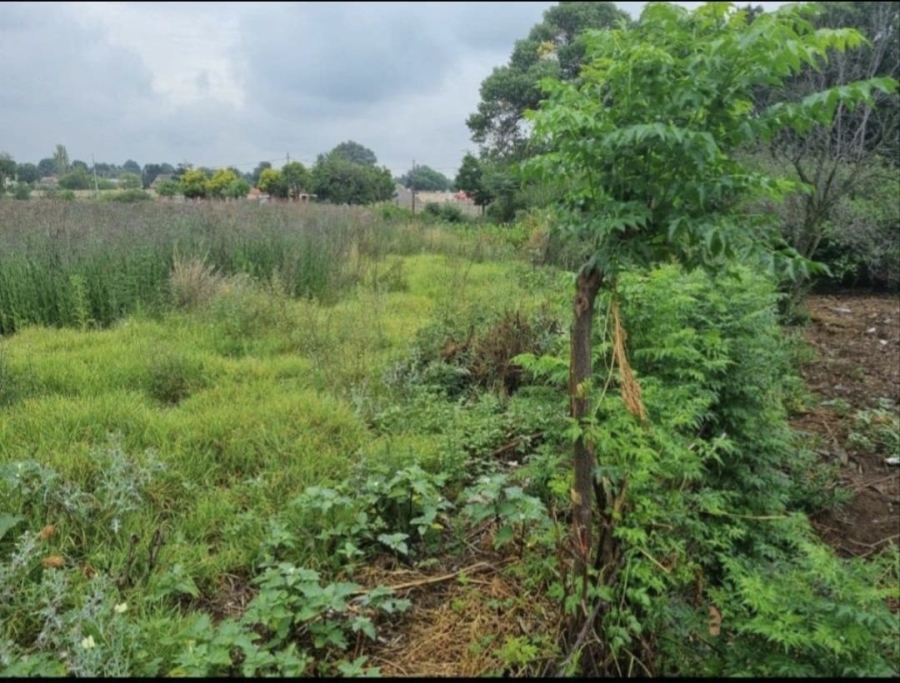 0 Bedroom Property for Sale in Rand Collieries Gauteng