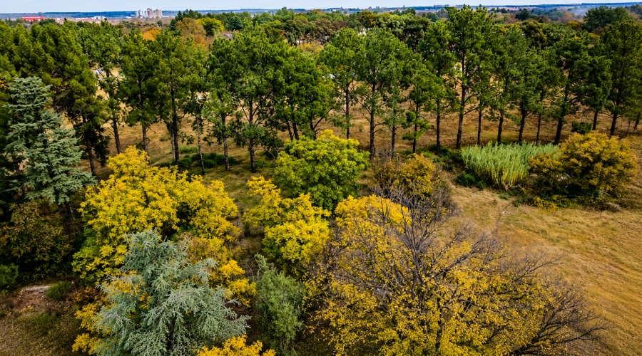0 Bedroom Property for Sale in Unitas Park Gauteng
