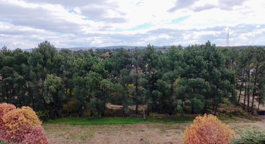 0 Bedroom Property for Sale in Unitas Park Gauteng