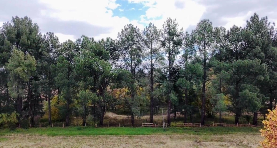 0 Bedroom Property for Sale in Unitas Park Gauteng
