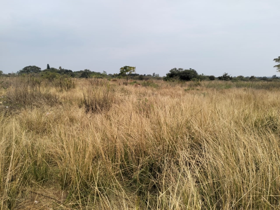 3 Bedroom Property for Sale in Bultfontein A H Gauteng