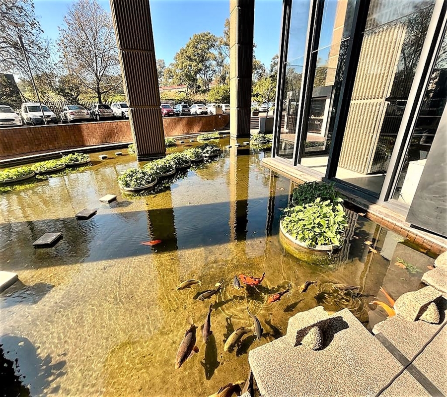 To Let Commercial Property for Rent in Auckland Park Gauteng