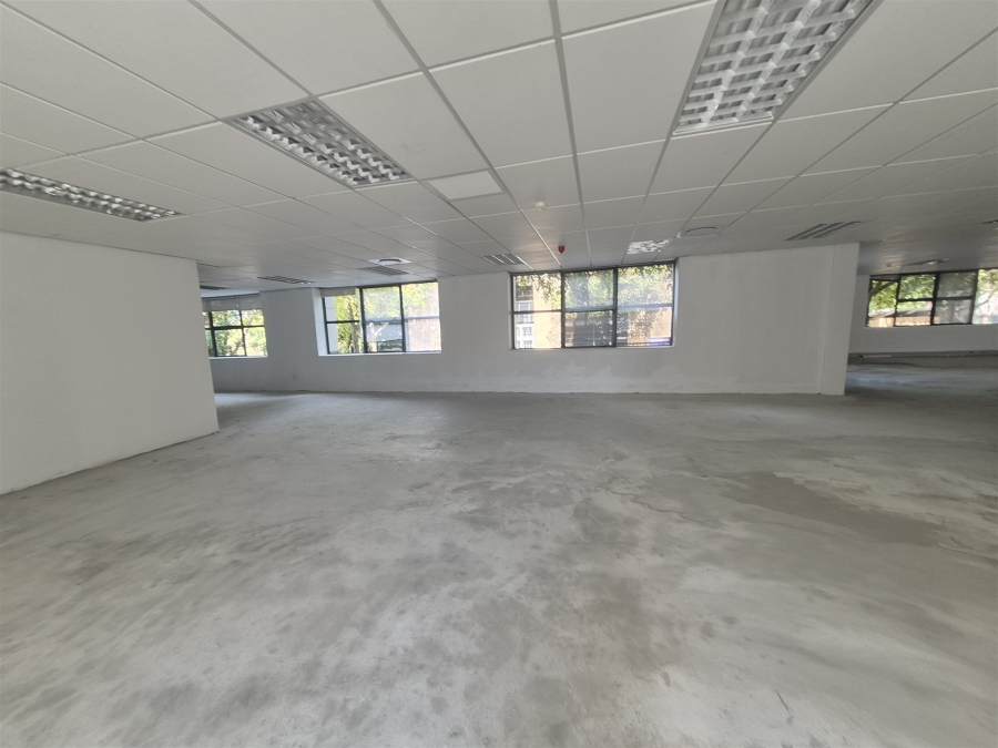 To Let Commercial Property for Rent in Illovo Gauteng