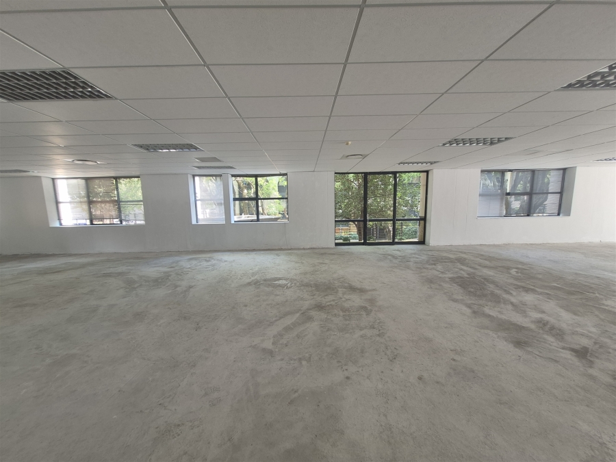 To Let Commercial Property for Rent in Illovo Gauteng