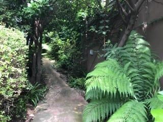 4 Bedroom Property for Sale in Dainfern Valley Gauteng