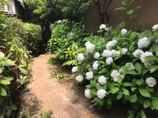 4 Bedroom Property for Sale in Dainfern Valley Gauteng