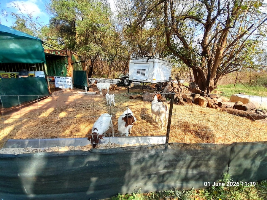 13 Bedroom Property for Sale in Pretoria North Gauteng