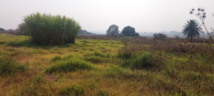 2 Bedroom Property for Sale in Blesboklaagte Gauteng