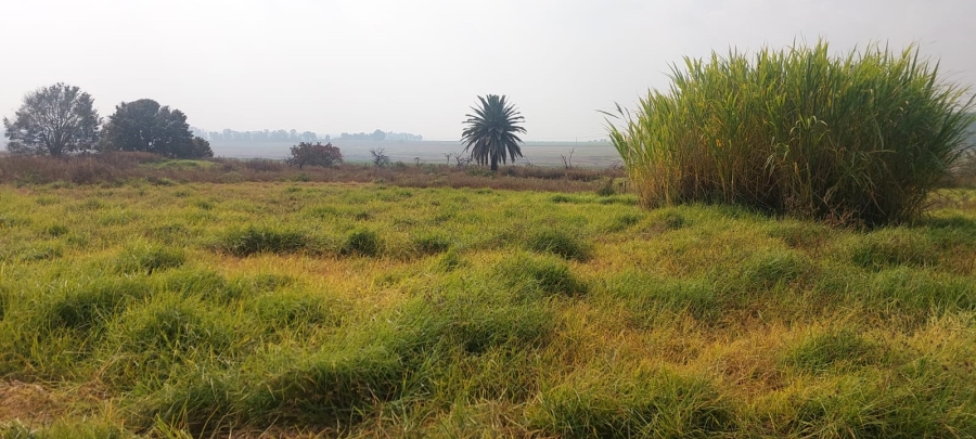 2 Bedroom Property for Sale in Blesboklaagte Gauteng